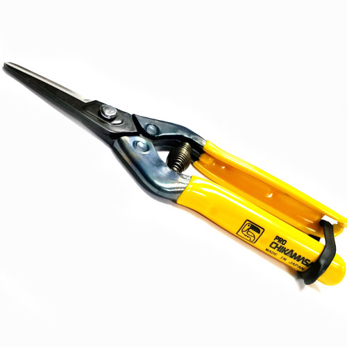 »óǰ ¼¶³×ÀÏ »óǰ ¼¶³×ÀÏ